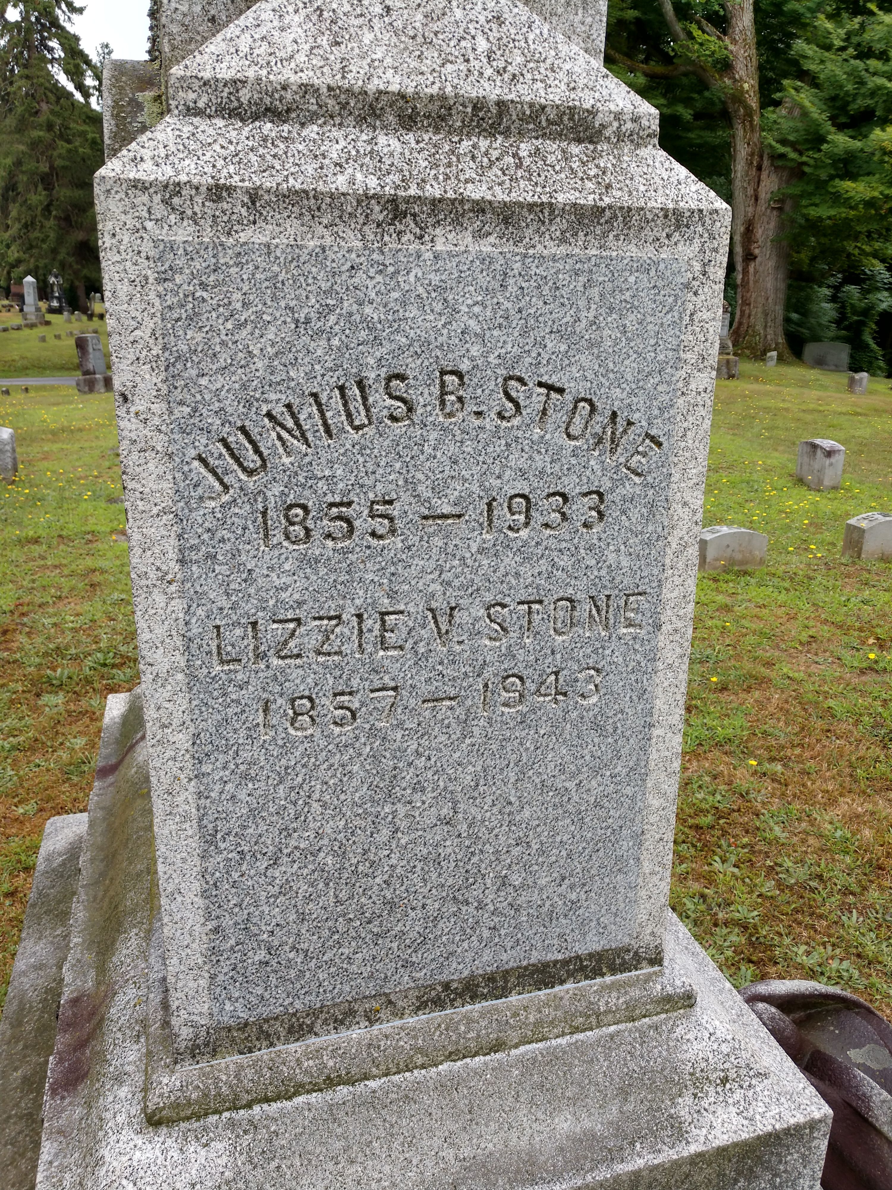 Elizabeth Viola Stone